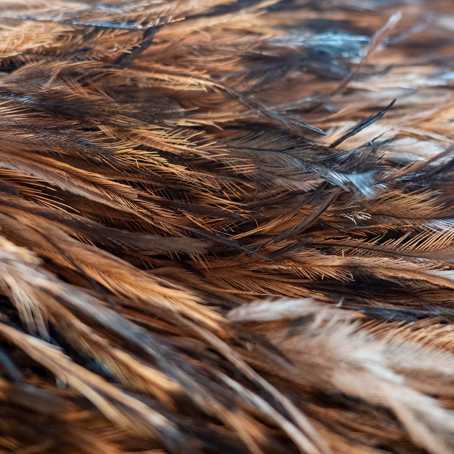 Emu feather skirt + woven basket